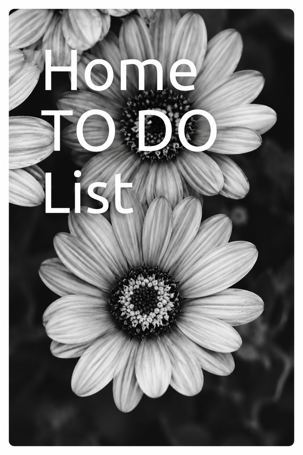 Home TO DO: List